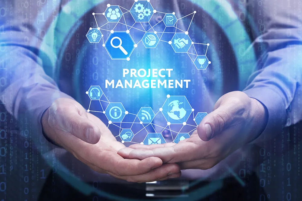 Project Management Consultancy